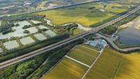 High speed train and natural wetland in China.