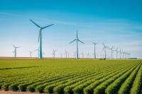 Windmills behind a field of crops