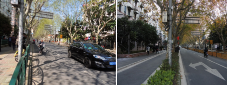 Road with cars and separate lanes for cycling/walking