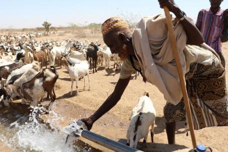 Three failed rainy seasons left Ethiopia with the worst drought for 50 years in 2016. For pastoralists, without water there is no pasture for their animals, putting their livelihoods and food security at risk. Photo by EU/ECHO