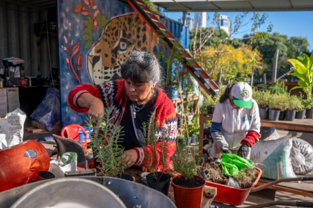 由14名当地女性居民管理的有机苗圃,向布宜诺斯艾利斯的居民和摊贩提供食物