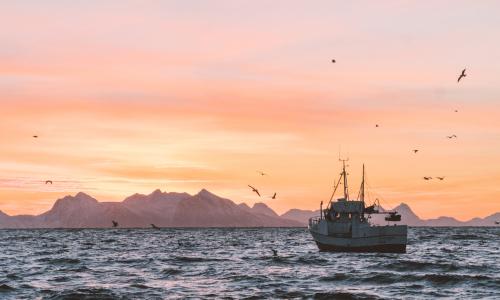 A small fishing boat in the ocean.