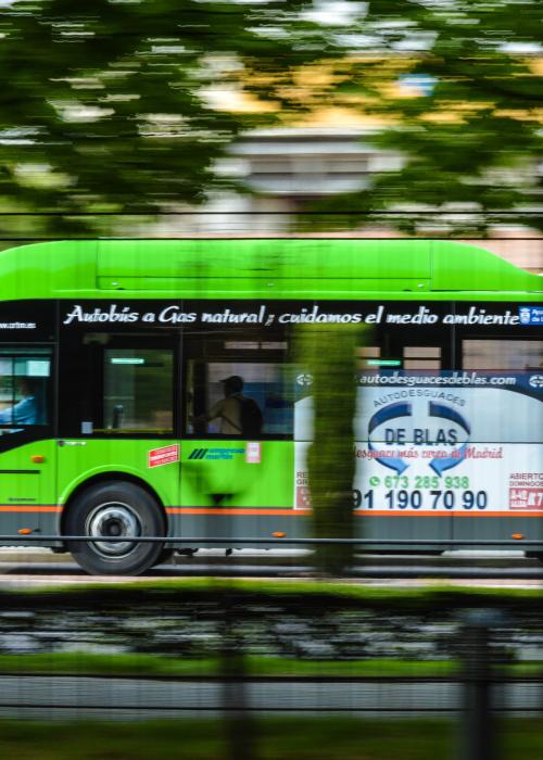 bus
